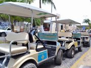 Jaguar Negro | Saturación de carritos de golf en Isla Mujeres: Atenea y el conflicto de intereses