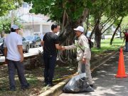 En menos de 24 horas, Cancún reactivó su economía tras huracán «Beryl»