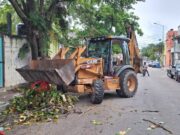 Trabajos permanentes, mantienen limpio a Solidaridad: Lili Campos