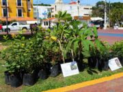 Kilo Verde y Croquetón llegará al Centro y Villas del Sol: Lili Campos