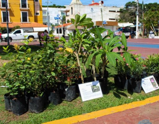 Kilo Verde y Croquetón llegará al Centro y Villas del Sol: Lili Campos