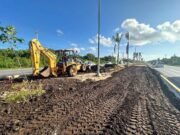 Gobierno de Lili Campos continúa renovando el camellón de la carretera federal