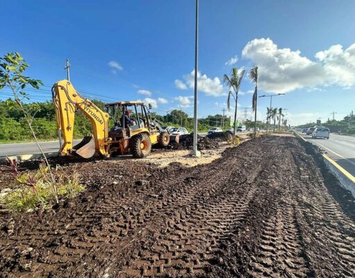 Gobierno de Lili Campos continúa renovando el camellón de la carretera federal