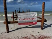 Retoman obras para edificar muelle en zona virgen de Holbox sin permisos