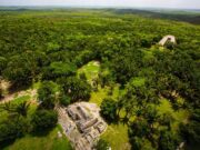 Modifican trazo del tramo 7 del Tren Maya tras hallazgo de estructuras prehispánicas