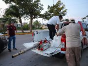 Fumigan las colonias Félix González Canto II, Las Fincas y Huertos Familiares, susceptibles de enfermedades por mosco
