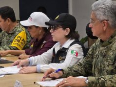 Reanudan actividades Quintana Roo y Yucatán tras el paso de Beryl