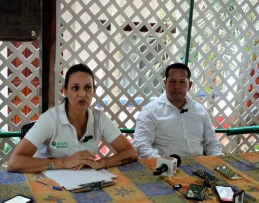 PDU de Tulum | “Esperemos que razonen y apliquen la ley y no tengan más actitudes gangsteriles”: DMAS