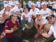Realizan jornada de arborización y atención animal en Puerto Morelos