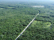 Trabajarán México y EU en pro de selva maya hasta 2030