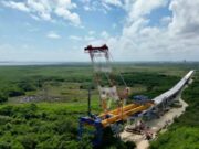 Autoridades realizan trabajos de mitigación ambiental en obras del puente vehicular Nichupté