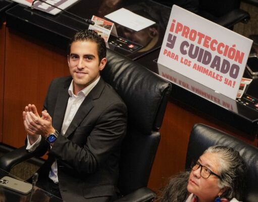 Vota Gino Segura a favor de la reforma constitucional para el bienestar animal