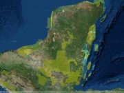 Solicitan ambientalistas más detalles del programa para proteger la selva maya