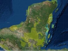 Solicitan ambientalistas más detalles del programa para proteger la selva maya