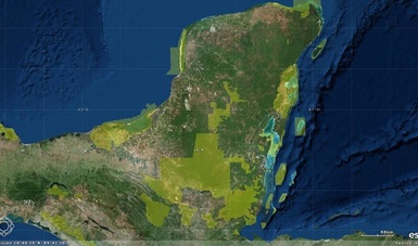 Selva maya, México
