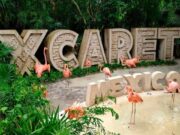 Ejecuta Grupo Xcaret 400 despidos por cierre de dos parques
