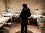 La ‘jugosa’ oferta del narco para reclutar estudiantes en laboratorios de fentanilo