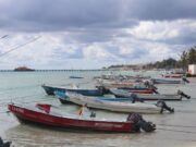 Promedian naúticos de Q. Roo más de 80 días de inactividad en el año por malas condiciones climatológicas