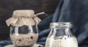 Opinión | La fermentación de alimentos y bebidas, una opción saludable y sustentable | Elena Gamarra | Alma Mater