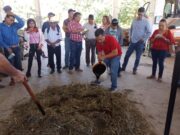 Bloques Multinutricionales: Una Alternativa para el Desarrollo Ganadero en Bacalar