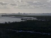 Prevé Claudia Sheinbaum que puente vehicular sobre la laguna Nichupté sea inaugurado durante este año