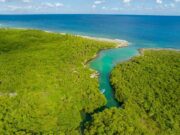 Más del 30% del territorio de Quintana Roo se encuentra bajo protección ambiental