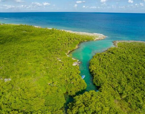 Más del 30% del territorio de Quintana Roo se encuentra bajo protección ambiental