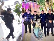 Final feliz: Recupera restaurante de Cancún su estatua