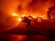 Opinión | Apocalipsis, paranoia y responsabilidad social. Los incendios forestales en Los Ángeles | David Lara Catalán