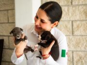 Invertirán 10 MDP para convertir el CENCAAZ en una clínica veterinaria de primera