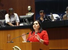 Exige Mayuli Martínez rehabilitación urgente de la carretera 307 en Quintana Roo