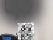 Permite Jueza a víctima recibir apoyo emocional de mascota durante audiencia