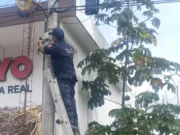 Desinstalan cámaras de videovigilancia ilegales en carretera Tulum-Cobá