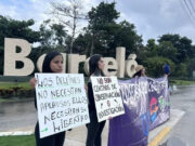Denuncian muerte de delfín en cautiverio durante show en hotel de la Riviera Maya