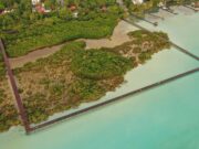 Ecoparque de Bacalar: ejemplo de sostenibilidad y arquitectura en armonía con la naturaleza