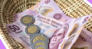 Opinión | ¿Quién es responsable de la calidad de vida de los trabajadores restauranteros? | Alma Mater | Mauro Berumen Calderón