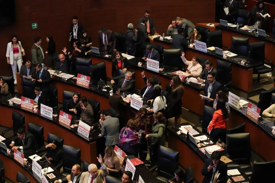 senado