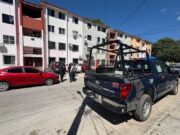 Buscan autoridades a responsable de maltrato animal captado en video en Cancún