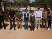 Clausuran autoridades de Puerto Morelos y de Medio Ambiente dos desarrollos inmobiliarios irregulares