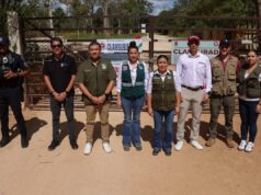 Clausuran autoridades de Puerto Morelos y de Medio Ambiente dos desarrollos inmobiliarios irregulares