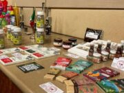 Prevén mostrar productos de Quintana Roo con un pabellón en el parque Disney Epcot Center