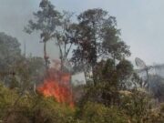 Buscan autoridades de BJ usar drones y agregar a Unidades Verdes contra incendios