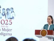 Anuncia la Presidenta seis medidas contra las desapariciones