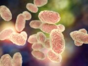 Descarta Sesa alerta sanitaria por tosferina en Quintana Roo