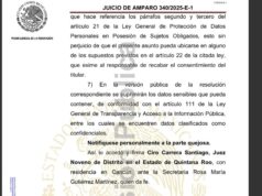 Confirman validez del cambio de nombre a Playa del Carmen; juez desecha amparo de “Chanito” Toledo