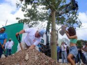 Celebra Ana Paty Peralta 55 años de historia de Cancún con la siembra de un Árbol Conmemorativo