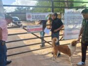 Inicia Fiscalía Ambiental inspecciones a desarrollos inmobiliarios en la Ruta de los Cenotes