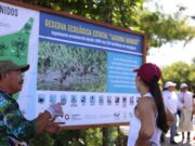 Lidera Ana Paty Peralta retiro de 4.5 toneladas de residuos de los manglares de Cancún