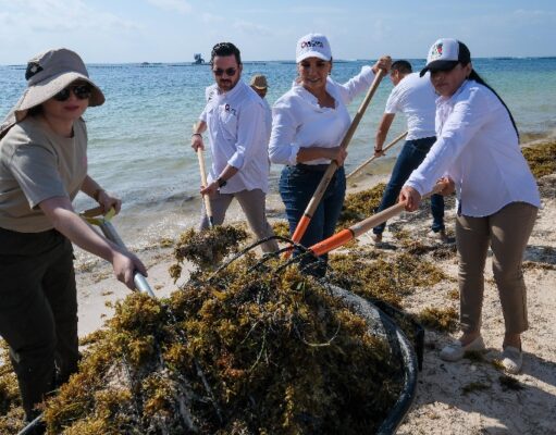 Arranca Mara Lezama trabajos para la temporada de arribo de sargazo a las costas de Quintana Roo