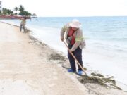 Suman 356.42 toneladas de sargazo retiradas de las playas públicas de Cancún